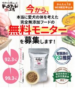 無料 ワンコインモニターサンプル情報あつめました ずぼらなワーキングマザーのお得生活