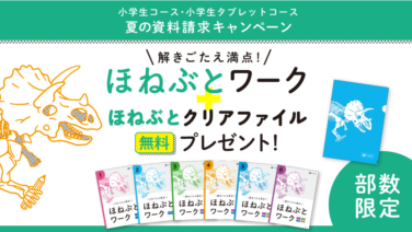 サンプル情報 ずぼらなワーキングマザーのお得生活