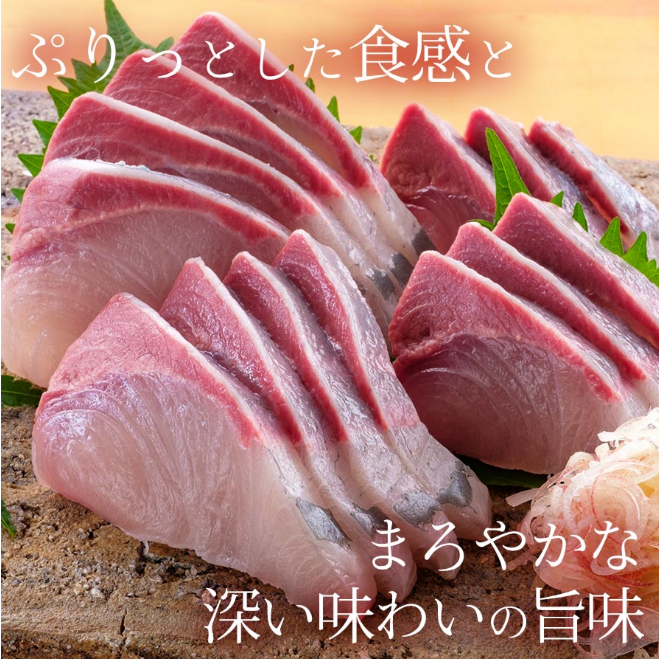 匠が育てた極上のカンパチ かんぱち 1000g 刺身はもちろんのこと 間八 勘八 刺身