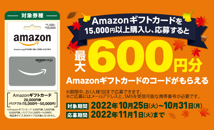 即決！Amazonギフト券20，000円分（ギフト券タイプ：10，000円x2枚）簡易書留・コード通知 即決・送料無料ギフト券20，000円分 ギフトコード アマギフ
